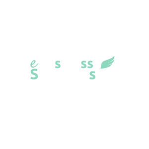 ebusiness solutions logo